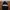 VETEMENTS Casual Sweatshirt Pria black photo 1