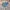 The North Face Casual Bag Pria gray blue photo 1