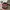 Elstinko Vintage Streetwear Hat Pria Multicolor