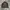 Deus Ex Machina Casual Bomber jacket Pria green photo 2