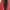 Casual Wanita burgundy brown photo 6