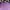 Muah Muah Y2K Minimalist T-shirt Pria purple photo 2