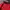 Lee Cooper Vintage Windbreaker Pria Red