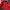 Lee Cooper Vintage Windbreaker Pria red photo 8
