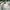 Streetwear Casual Hat Pria white photo 4