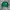 Vintage Sportswear Bomber Jacket Pria Green