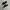 Adidas Casual Sneakers Pria white black photo 1