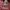 Vintage Streetwear Leather jacket Pria red photo 4
