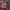 Vintage Streetwear Leather jacket Pria red photo 2