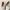 MLB Biker Casual Sneakers Pria brown cream photo 5