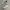 Y-3 Biker Casual Sneakers Pria white photo 1