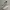Y-3 Biker Casual Sneakers Pria White