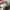 Y-3 Biker Casual Sneakers Pria white photo 6