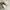 Y-3 Biker Casual Sneakers Pria white photo 3
