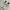 Y-3 Biker Casual Sneakers Pria white photo 2