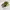 VANS Casual Sneakers Pria yellow photo 1