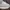 Adidas Casual Sneakers Pria white photo 6