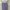 Mango Casual Shirt Wanita purple white photo 1