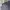 Carhartt Luxury Casual T-shirt Pria gray photo 2