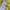 MLB Streetwear Sportswear T-shirt Pria yellow photo 4