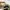 New Balance Casual Sneakers Pria green khaki photo 4