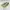 New Balance Casual Sneakers Pria Green Khaki