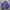 Vintage Blazer Pria Purple Black