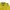 Streetwear Casual Harrington Jacket Pria Khaki Yellow