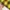 Vision Street Wear Streetwear Windbreaker Pria yellow photo 4