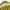 Vision Street Wear Streetwear Windbreaker Pria yellow photo 3