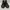 Converse Casual Sneakers Pria black photo 2