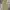 Mountain Hardwear Gorpcore Sportswear Tracksuit Pria tan photo 1