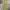 Mountain Hardwear Gorpcore Sportswear Tracksuit Pria tan photo 2