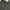 ZARA Coquette Casual Cami Top Wanita Black