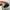 New Balance Casual Sneakers Pria gray photo 4