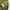Uniqlo Streetwear Avant Garde Casual pants Pria green photo 5