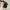 New Balance Casual Sneakers Pria khaki photo 4
