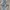 Ocean Pacific Vintage Streetwear T-shirt Pria gray photo 5