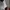 Converse Vintage Streetwear Sneakers Pria white photo 2