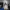 Converse Vintage Streetwear Sneakers Pria white photo 3