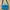 Luxury Cosplay Bag Pria green photo 3