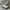 Streetwear Boots Wanita cream photo 1
