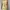 H&M Streetwear Casual Bodycon Dress Wanita Yellow