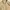 Fjällräven Casual Leather jacket Pria tan photo 4