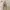 Avirex Streetwear Luxury Dungaree Kids tan brown photo 2