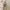 Avirex Streetwear Luxury Dungaree Kids Tan Brown