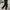 The North Face Biker Casual Casual pants Pria black photo 1