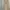 Vintage Indie Flare pants Wanita tan brown photo 4