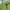 Cardigan Wanita green photo 2