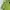 Cardigan Wanita green photo 5